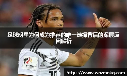 3003新葡的京集团